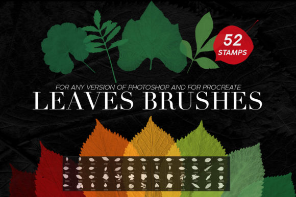 Enhance Your Design Work with Leaves Photoshop Stamp Brushes